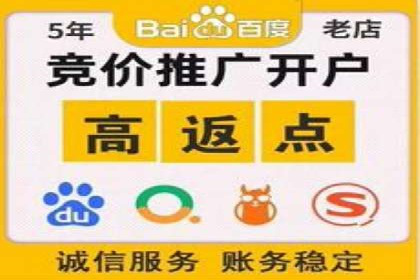 竞价广告案例分析：品牌成功之道